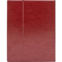 Электронная книга Onyx BOOX Lomonosov 3