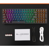 Клавиатура Royal Kludge RK100 RGB (черный, RK Red)