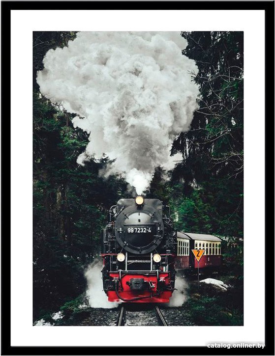 Картина Miram Природа. Паровоз из Гарца 230401823 (30x40)