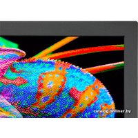 Монитор NEC PA311D-BK