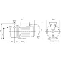 Самовсасывающий насос Wilo Jet WJ 203 X (1~230 В)