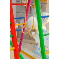 Детский спортивный комплекс Perfetto Sport Pappagallo PS-231