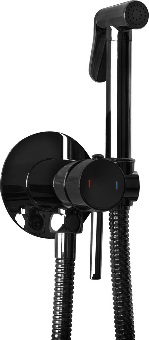Гигиенический душ Rea Lungo Loop REA-B5656 (черный металлик)