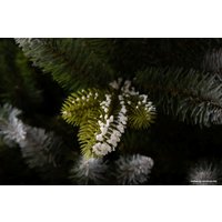 Сосна GreenTerra Швейцария 2.5 м