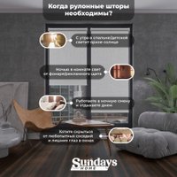 Рулонные шторы Sundays Home LM 97-11 43х160 с 2-мя направляющими LM-15 150см (белый)