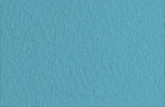 

Бумага для сухих техник Невская палитра Мастер-Класс 50х65 см 275452655 (10 л, серо-голубой)