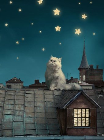ФабрикаФресок Кот на крыше 472270 (200x270)