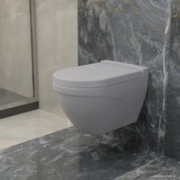 Сиденье для унитаза Ambassador Nord 132T20301 (серый матовый)