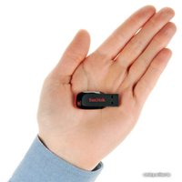 USB Flash SanDisk Cruzer Blade Black 128GB (SDCZ50-128G-B35)