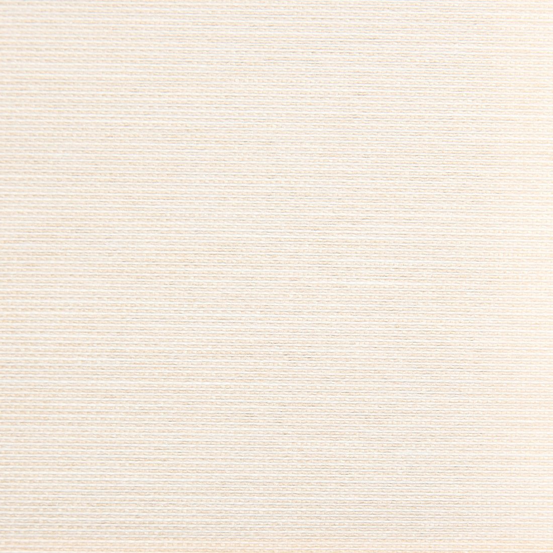 

Рулонные шторы Lm Decor Шайн LM 42-07 220x185 (молочный)