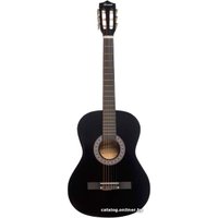 Акустическая гитара Terris TC-3801A BK