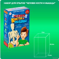Набор для опытов Bondibon Японские опыты. Человек. Кости и мышцы ВВ4728