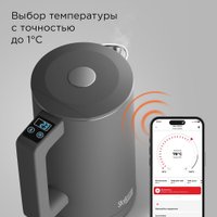 Электрический чайник Redmond (Редмонд) SkyKettle KM231S (серый)