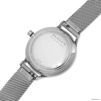 Наручные часы Skagen Anita SKW2862