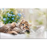 Solmax&Creators Котенок SM98458