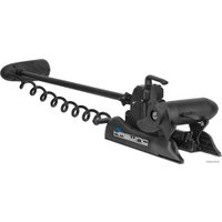 Лодочный мотор Haswing Cayman B 55 lbs GPS в Гомеле