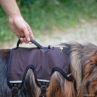 Шлея Ferplast Ergotrekking XS 75467000 (XS, коричневый)