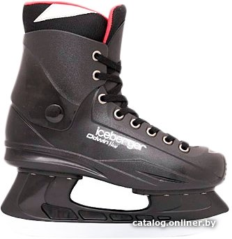 Коньки Black Aqua Odwin New FTS-303 (р. 39)