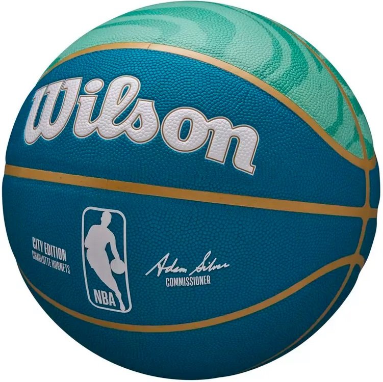 

Баскетбольный мяч Wilson NBA Team City Collector Charlotte Hornets WZ4024104XB7 (7 размер)