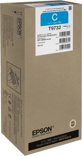 

Чернила Epson C13T973200