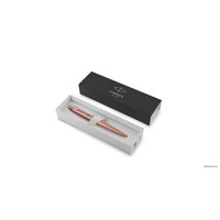 Ручка шариковая Parker Jotter XL Monochrome SE20 RG 2122755