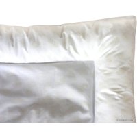 Спальная подушка Amarobaby Nature AMARO-40N-01