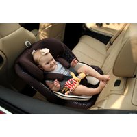 Детское автокресло Tron Wizard Isofix (brown/print)