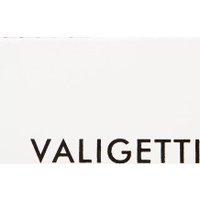 Дорожная сумка VALIGETTI 185-406-LGR (белый)