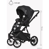 Универсальная коляска Riko Basic Montana Ecco (3 в 1, 12/черный)