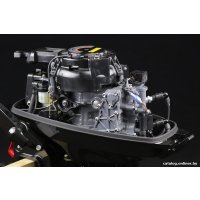 Лодочный мотор Suzuki DT 15 AS в Бресте