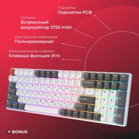 Клавиатура Royal Kludge RK100 RGB (белый/серый, RK Red)