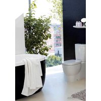 Унитаз напольный Laufen Mimo 8245560000001 (без бачка, без сиденья) в Мозыре