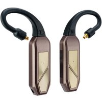TWS-модуль iFi audio GO pod Max