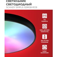 Припотолочная люстра In Home Scandy Simple-125RGB-RCB 4690612062273 в Могилеве