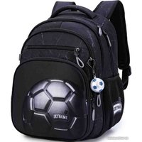 Школьный рюкзак SkyName R3-267 + брелок мячик