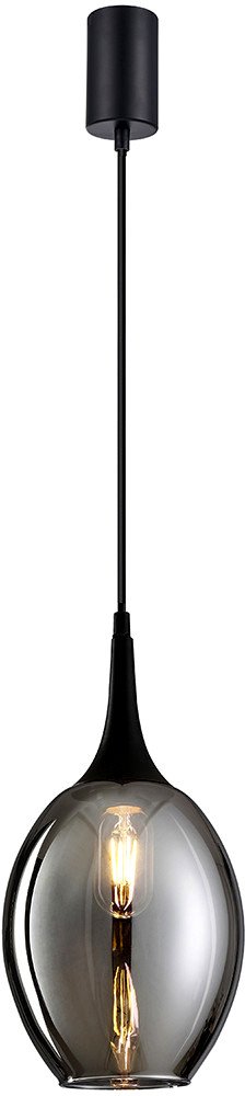 Подвесная люстра F-Promo 4361-1P