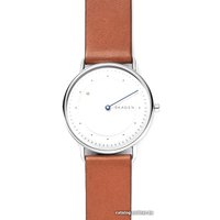 Наручные часы Skagen SKW6487