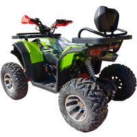 Квадроцикл RAM ATV FX250 (зеленый) в Могилеве