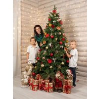 Елка National Tree Company Ариадна АРД-210 (210см)