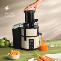 Соковыжималка Tuvio TJ03MD в Витебске