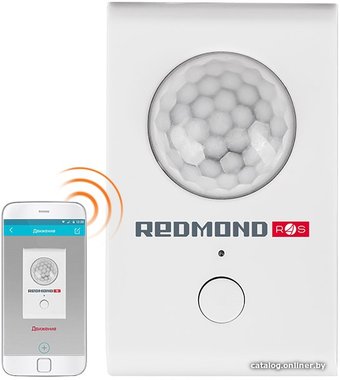 Датчик Redmond (Редмонд) SkyGuard RG-D31S