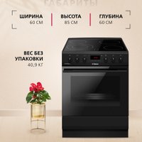 Кухонная плита Hansa FCCM69225H