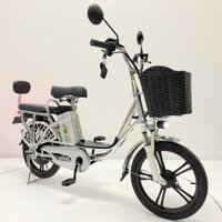 Электровелосипед GreenCamel Транк 18 V8 (R18 250Вт 60В 10Ач)