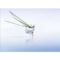 Ноутбук HONOR MagicBook Art 14 2024 MRA-521 5301AKRS