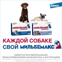 Таблетки от блох и клещей Elanco Мильбемакс для крупных собак (2 таблетки)
