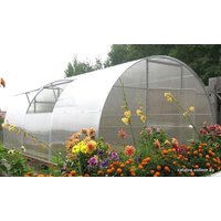 Теплица ComfortProm двойная дуга 2x20x20/0.67 12x3 м (поликарбонат 3 мм)