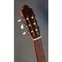 Акустическая гитара Camps M-1-S