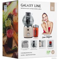 Соковыжималка Galaxy Line GL0811 (дымчатая роза)