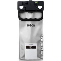 Картридж-чернильница (ПЗК) Epson C13T01C100