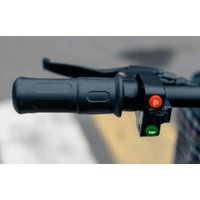 Электросамокат AVM Delta Big (черный)